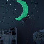 Taika Glow je vodorazredivi lak koji sija u mraku 0,33 lit